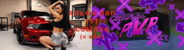 гашик Волосово