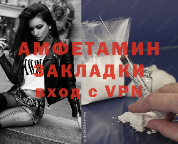 твердый Вяземский