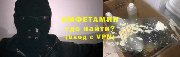 твердый Вяземский