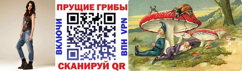 мега ONION  Армавир  Галлюциногенные грибы Psilocybine cubensis 