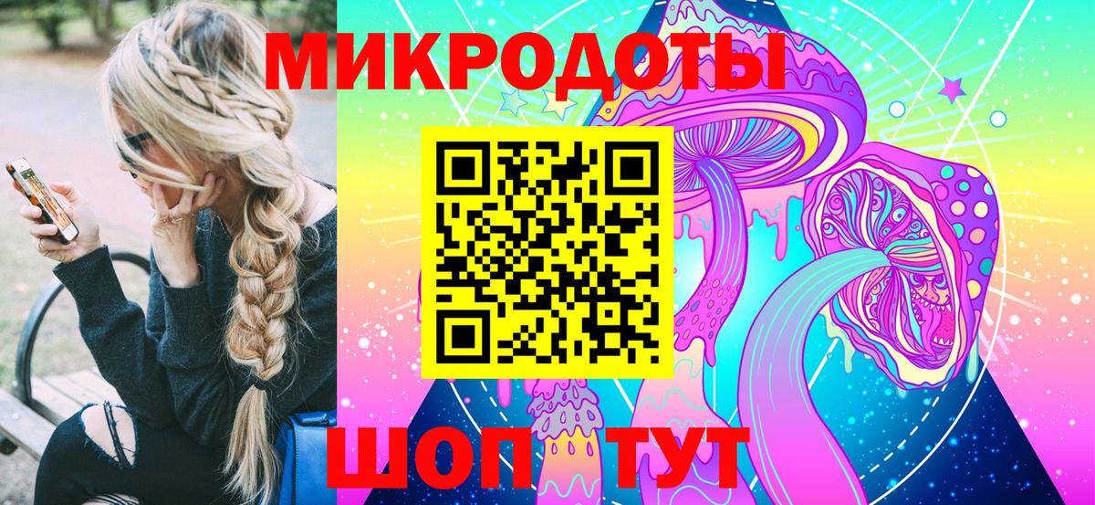 Псилоцибиновые грибы мицелий Армавир