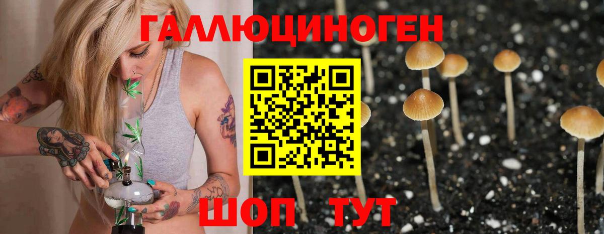 Псилоцибиновые грибы Psilocybine cubensis  Вход с VPN  наркошоп  Армавир 
